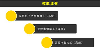 北京信息职业技术学院招生网