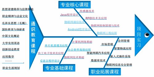 重庆交通职业学院 物联网专业